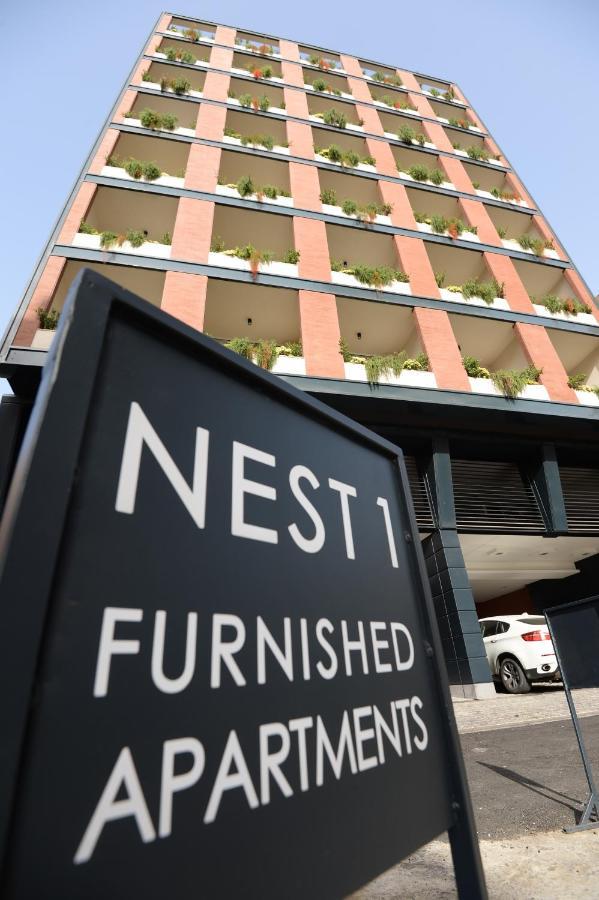 Nest 1 *